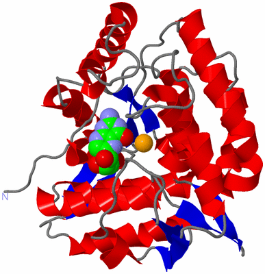 Image Asym./Biol. Unit