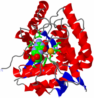 Image Asym./Biol. Unit - sites