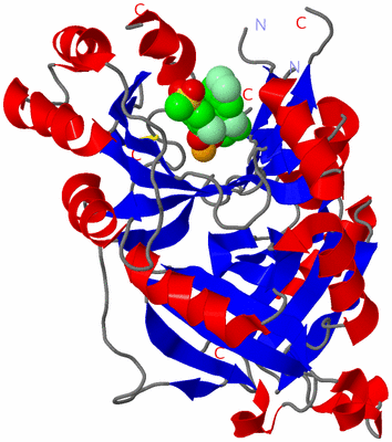 Image Asymmetric Unit