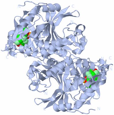 Image Biological Unit 1