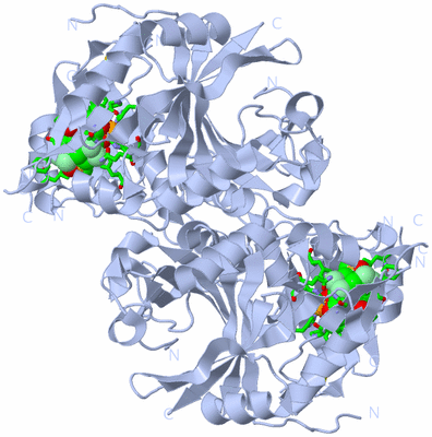 Image Biol. Unit 1 - sites