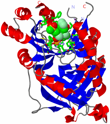 Image Asym. Unit - sites
