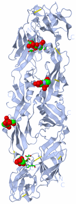 Image Biol. Unit 1 - sites