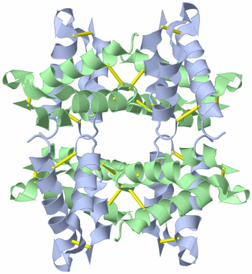 Image Biological Unit 3