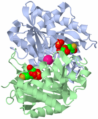Image Asymmetric Unit