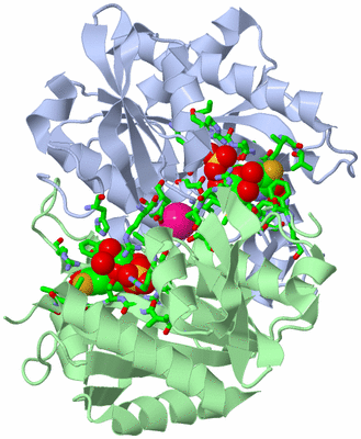 Image Asym. Unit - sites