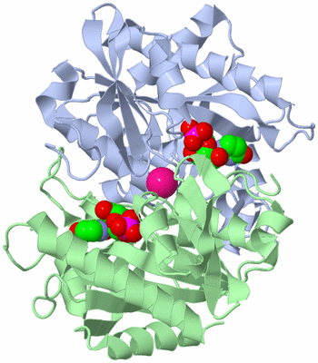 Image Asymmetric Unit