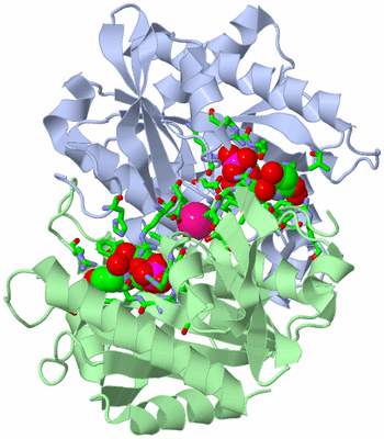Image Asym. Unit - sites