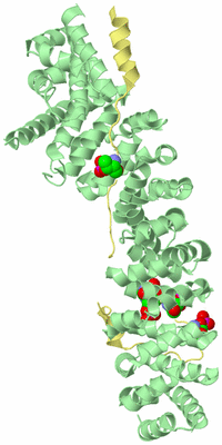 Image Biological Unit 2