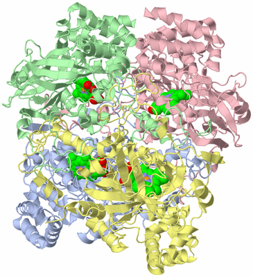 Image Asym./Biol. Unit