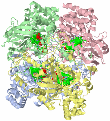 Image Asym./Biol. Unit - sites