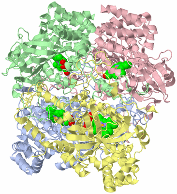 Image Asym./Biol. Unit