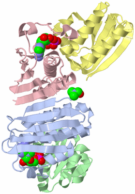 Image Asym./Biol. Unit