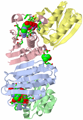 Image Asym./Biol. Unit - sites