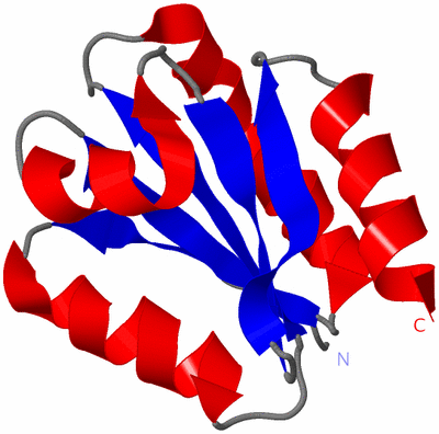 Image NMR Structure - model 1