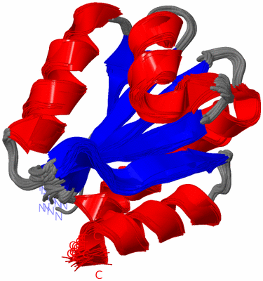 Image NMR Structure - all models