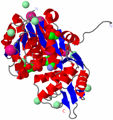 Image Asym./Biol. Unit