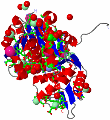 Image Asym./Biol. Unit - sites