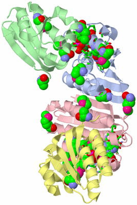 Image Asym./Biol. Unit - sites