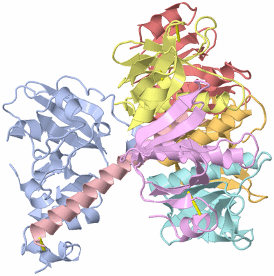 Image Asym./Biol. Unit