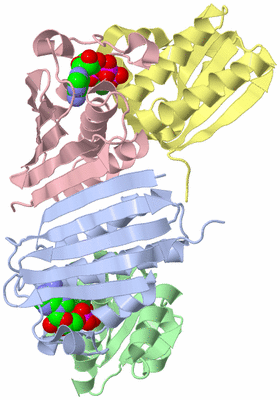 Image Biological Unit 1