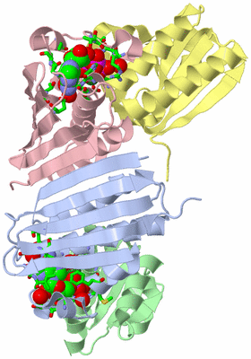 Image Biol. Unit 1 - sites