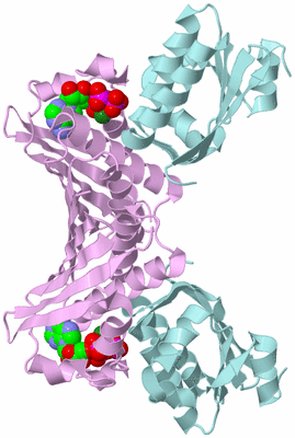 Image Biological Unit 2