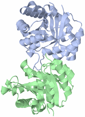 Image Asym./Biol. Unit