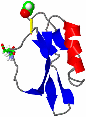 Image NMR Structure - model 1, sites
