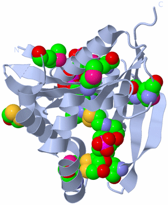 Image Biological Unit 1