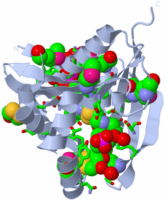 Image Biol. Unit 1 - sites