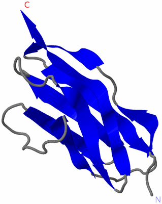 Image NMR Structure - model 1