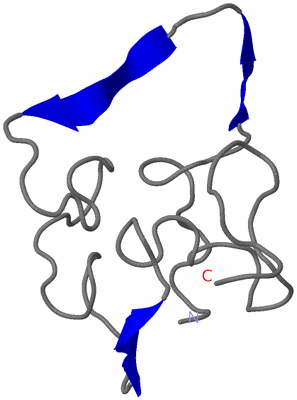 Image NMR Structure - model 1