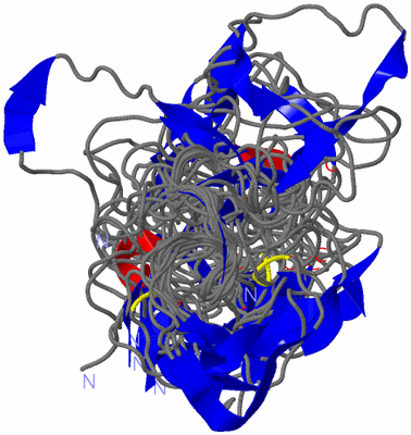 Image NMR Structure - all models