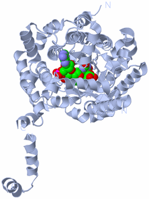 Image Biological Unit 1