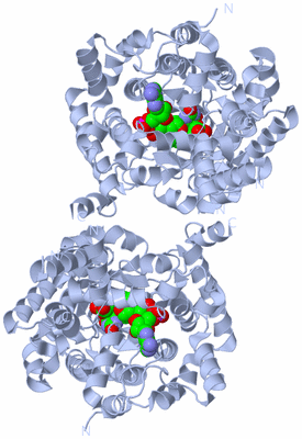 Image Biological Unit 2