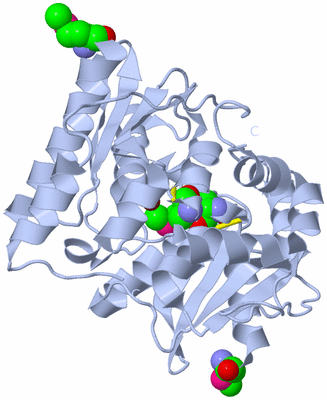 Image Biological Unit 2