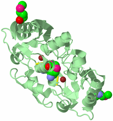 Image Biological Unit 3