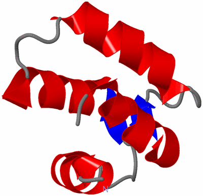 Image NMR Structure - model 1