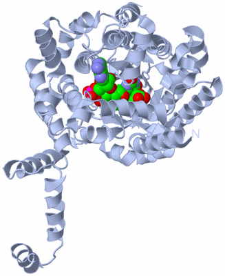 Image Biological Unit 1