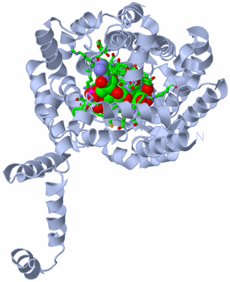 Image Biol. Unit 1 - sites