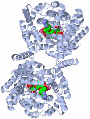 Image Biological Unit 2