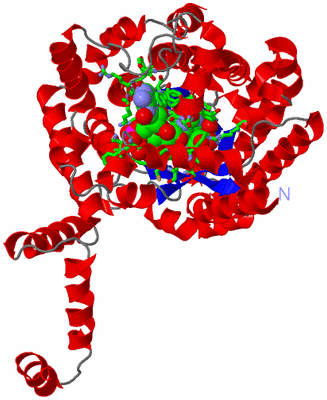 Image Asym. Unit - sites