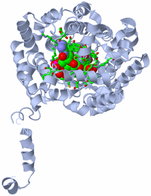 Image Biol. Unit 1 - sites