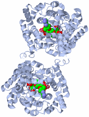 Image Biological Unit 2