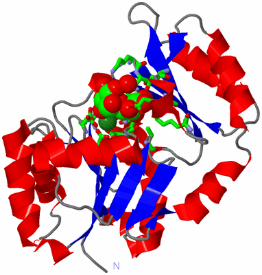 Image Asym./Biol. Unit - sites