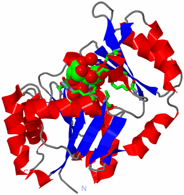 Image Asym./Biol. Unit - sites