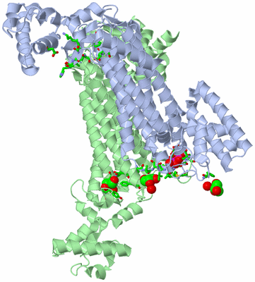 Image Biol. Unit 1 - sites