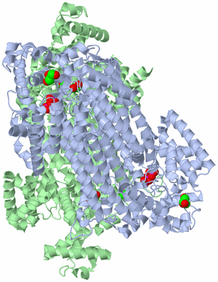 Image Biological Unit 2