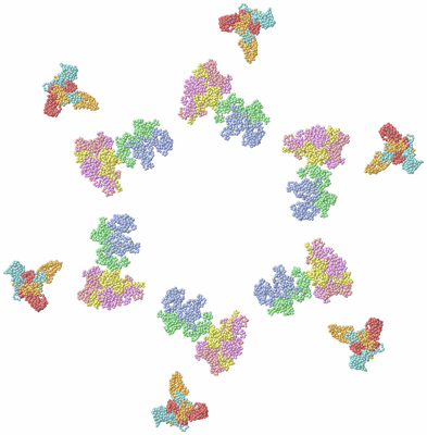 Image Biological Unit 1